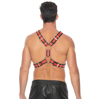 Scottish Leather Harness - L/XL