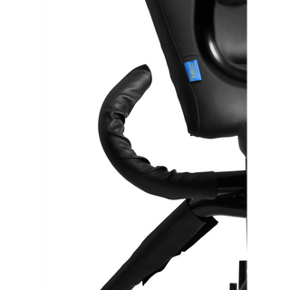 BDSM Multi Position Sex Chair